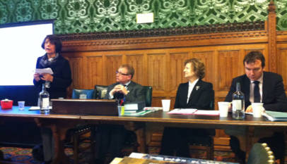 Kashmiri IDP’s seminar at House of Commons